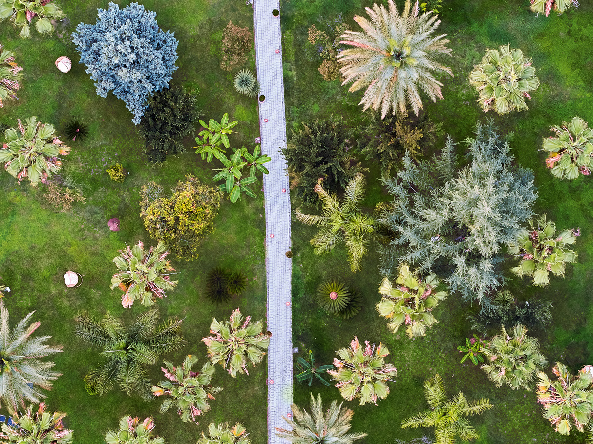 Grecotel Filoxenia, Kalamata, Greece, garden, bird view, palm trees