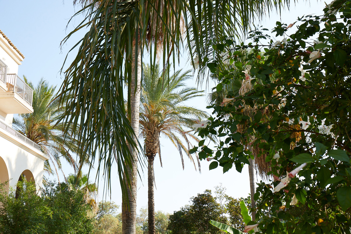 Grecotel Filoxenia, Kalamata, Greece, garden