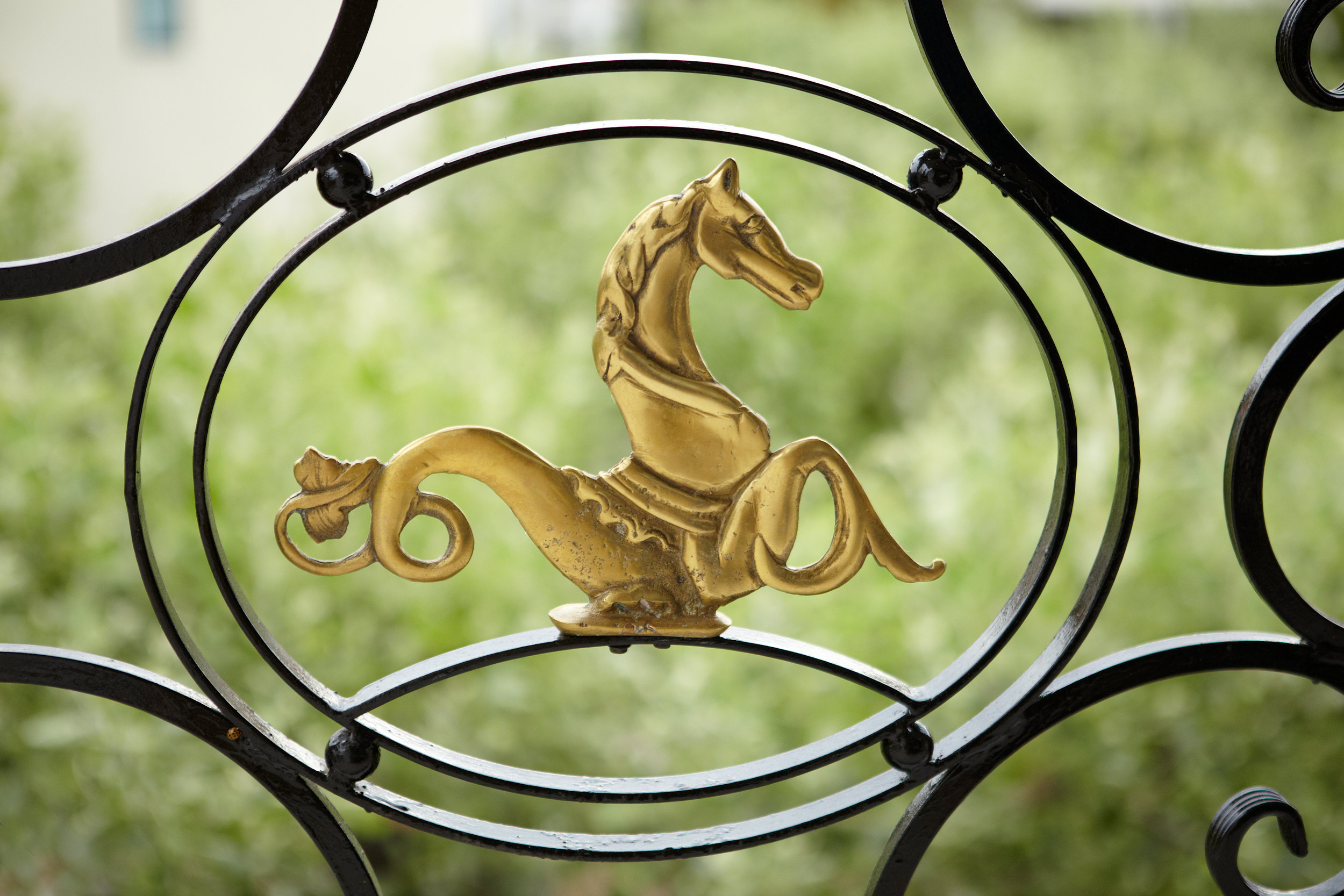 Danai logo at brass door