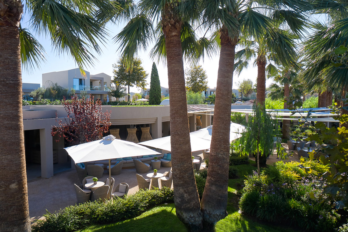 Porto Sani, Greece, aerial view of Mojito bar, palm trees