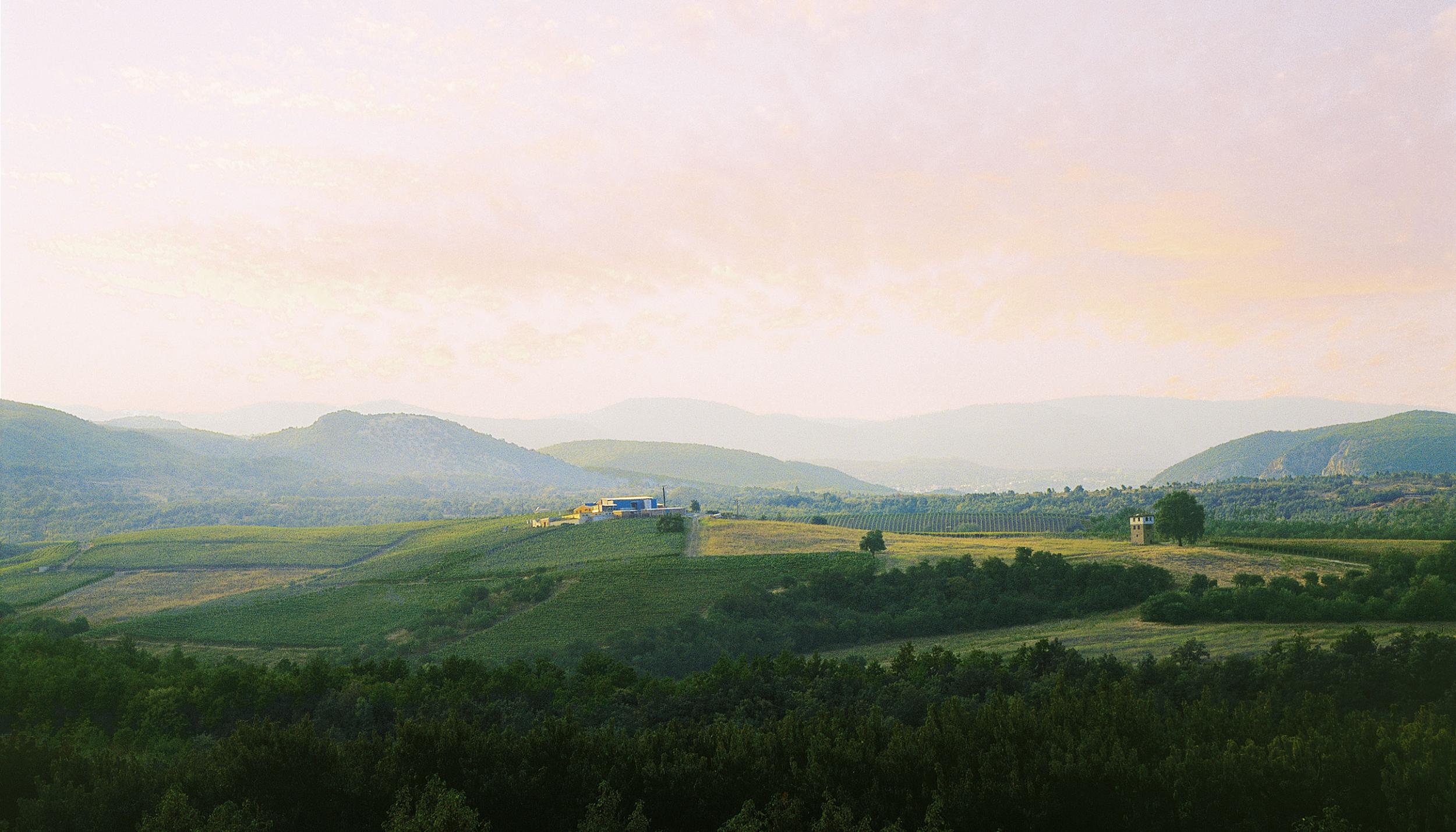 Kir Yianni vinyard and winery in Naussa at sunset