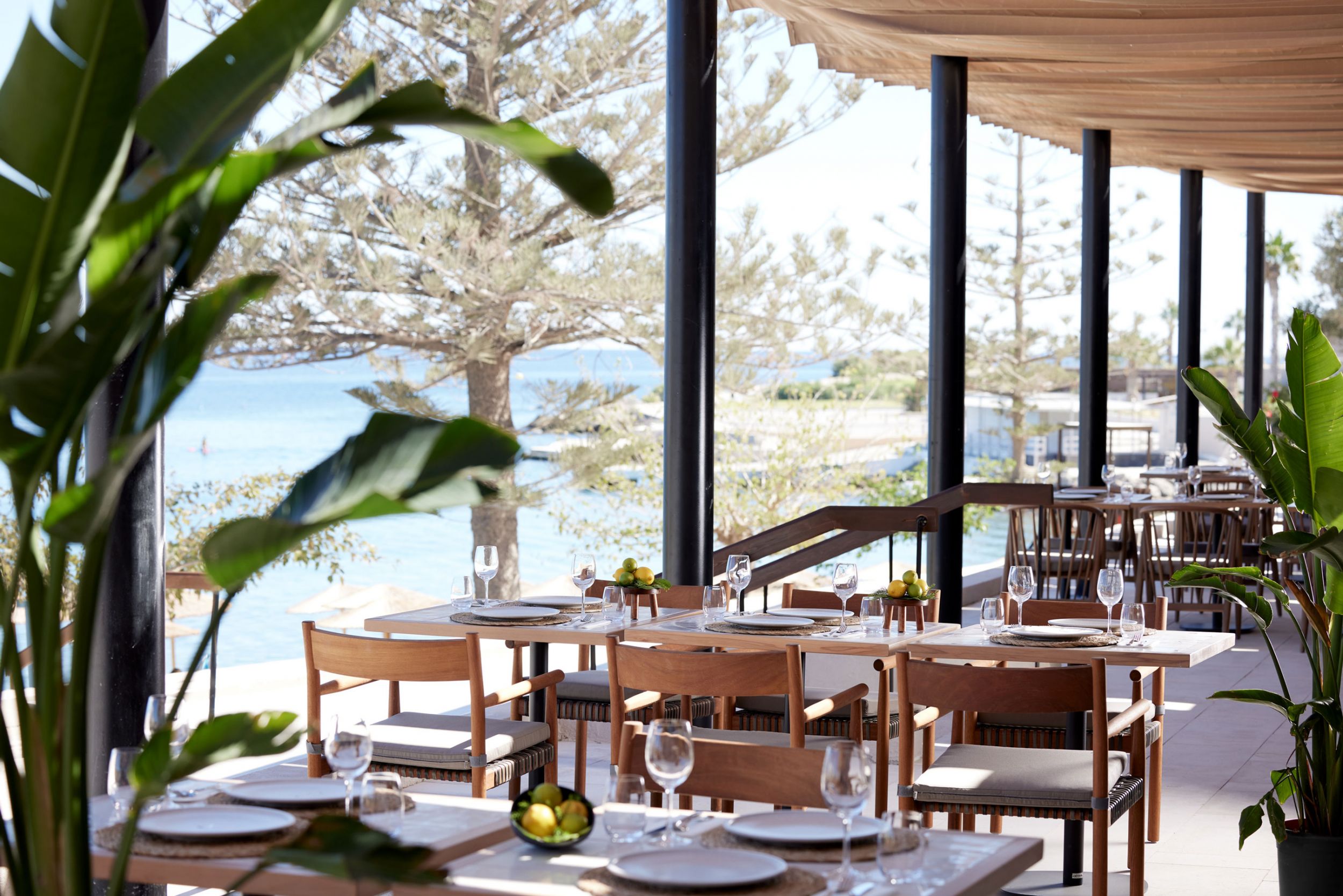 Helea, Rhodes, restaurant