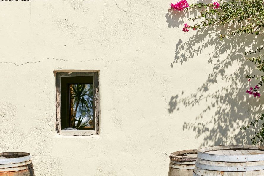 Gaia winery , barrels 
