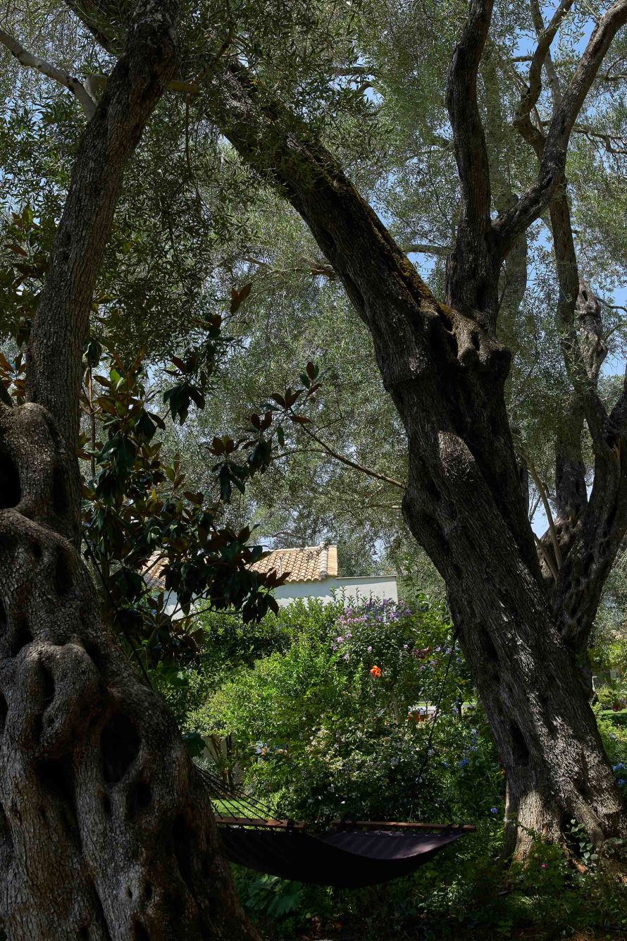 hammock between old olive trees at Parga Beach, Greece