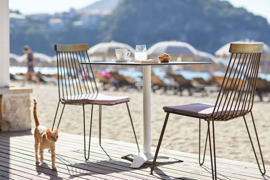 cat between tables at Parga Beach, Greece