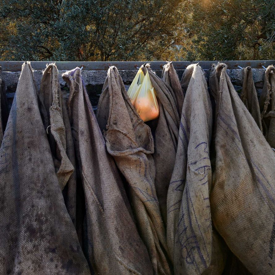 sacks for collecting olives 