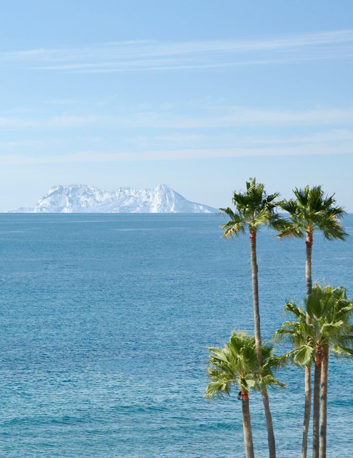 Ikos Andalusia, Gibraltar, palm trees