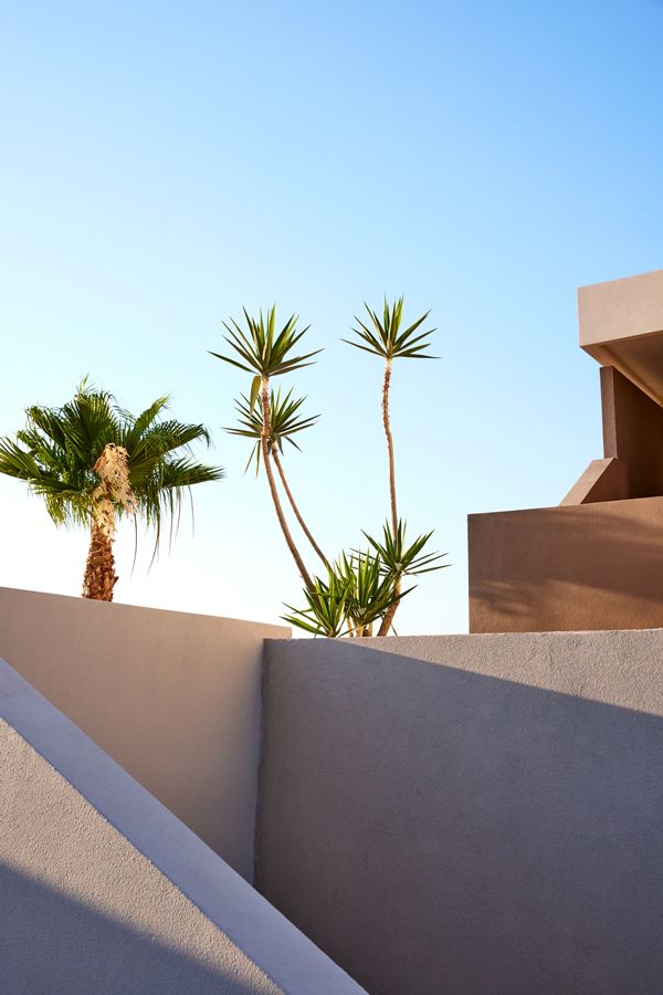 Elissa Rhodes, building with palm trees, detail