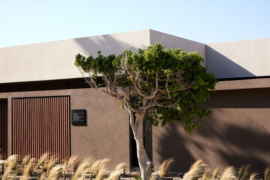 Elissa Rhodes, building with tree