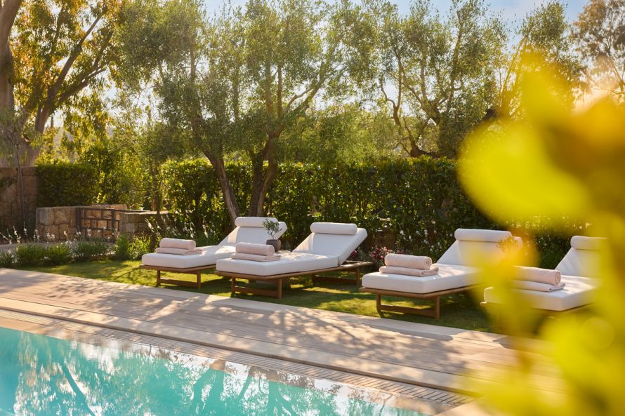 Sani Asterias Villa pool detail